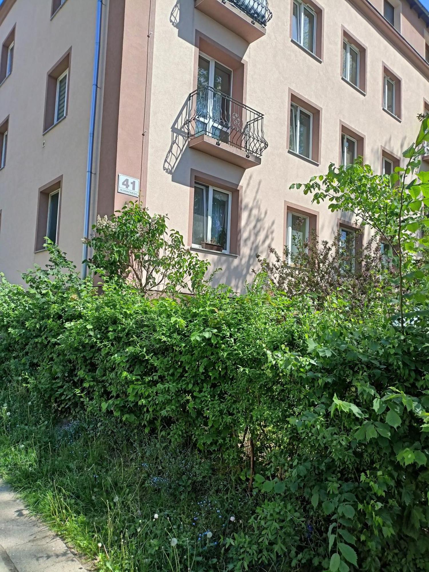 Apartament Slowackiego 41 Jelenia Góra Buitenkant foto