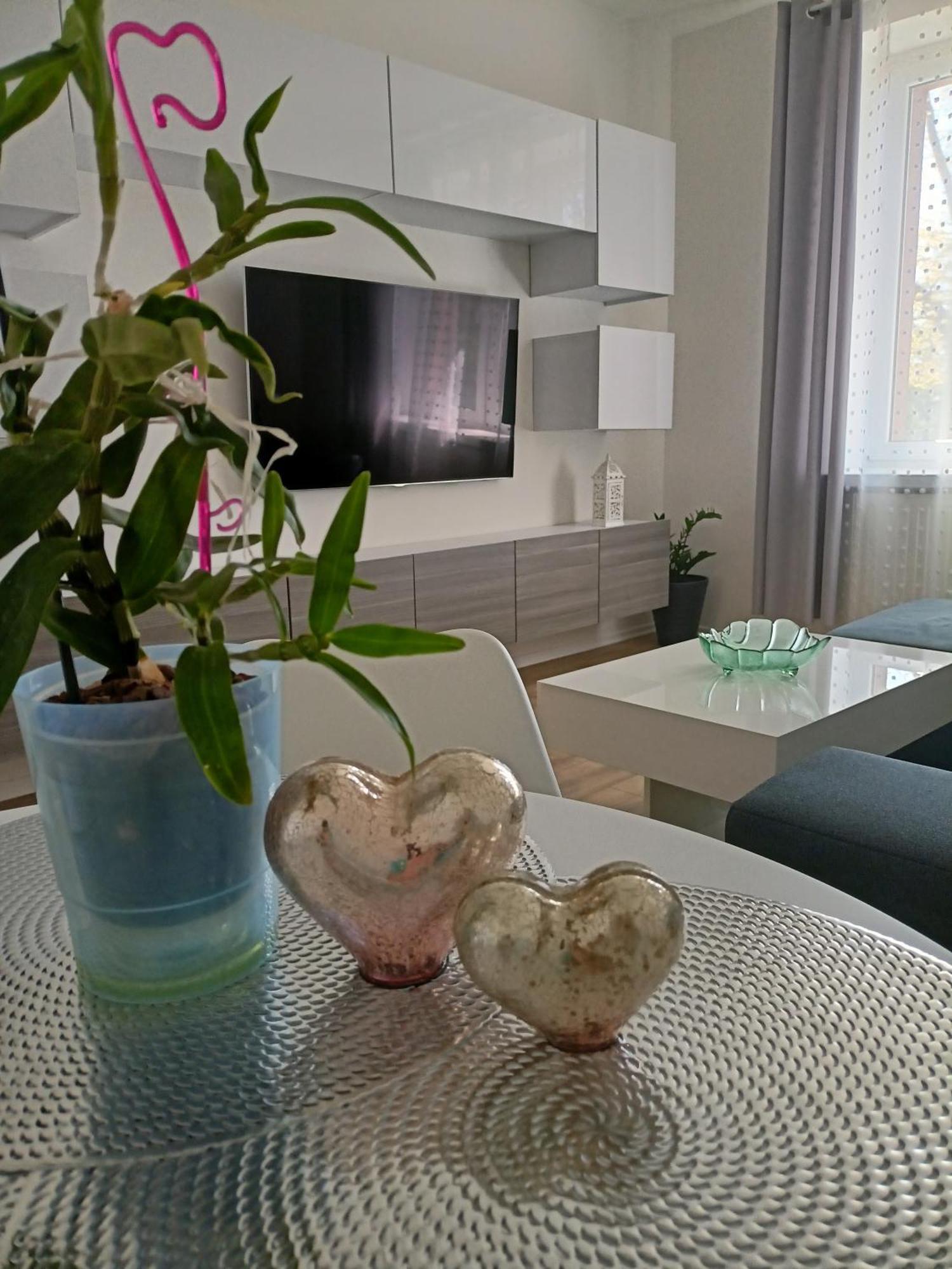 Apartament Slowackiego 41 Jelenia Góra Buitenkant foto